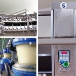 Carrousel milking parlour