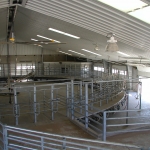 Carrousel milking parlour