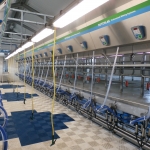 Side by side milking parlour