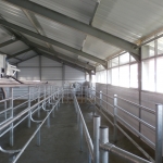 Side by side milking parlour