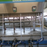 Side by side milking parlour