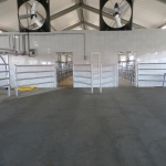 Side by side milking parlour