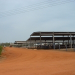 Sudan, DFP 1200 cows